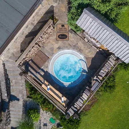 Wellness Essense