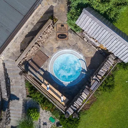 Wellness Essense